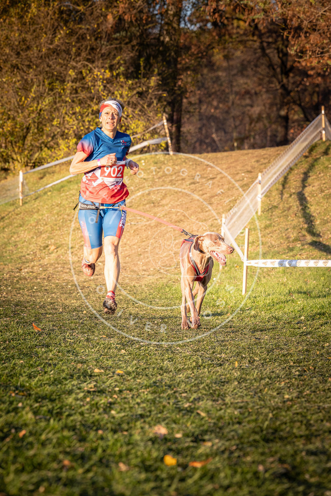 CaniXpix_0L8A1301 | Hundefotografie, Tierfotograf, Pfotenfotografie, Fotoshooting Hund, Hunde Portrait, Hundesport, Hundeportraits, Heideshooting, Hunde, Sportfotograf, Hundefotograf, Turnierhundsport, THS,  - Realisiert mit Pictrs.com