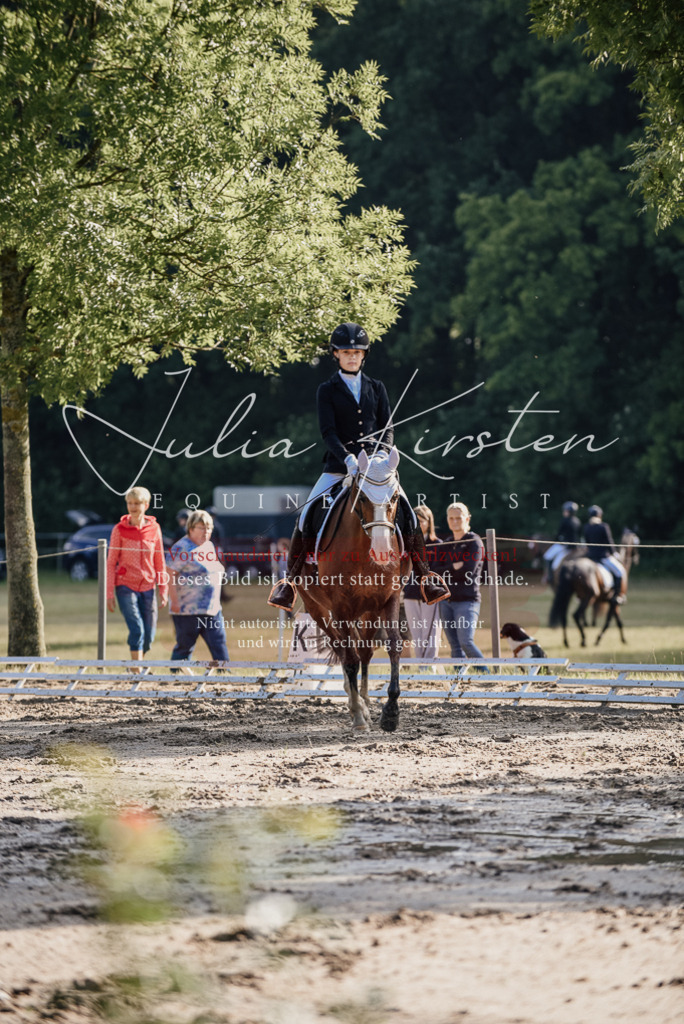 DSC_7791 | Pferde- und Turnierfotografie in Westsachsen. Pferdeportraits, Auftragszeichnungen und intuitive Kunst.