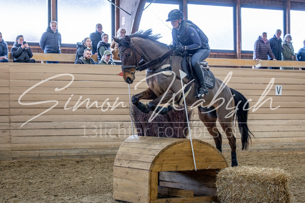 20260222-_3LI1997 | Tierfotografie Pferde, Hunde, Katzen, Haustiere.
Turnierfotografie Reitturniere, Reiten, Springreiten, Dressur in Hanau, dem Main-Kinzig-Kreis und dem Rhein-Main- Gebiet um Frankfurt