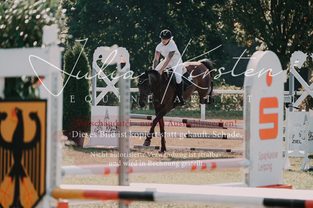 DSC_4625 | Pferde- und Turnierfotografie in Westsachsen. Pferdeportraits, Auftragszeichnungen und intuitive Kunst.