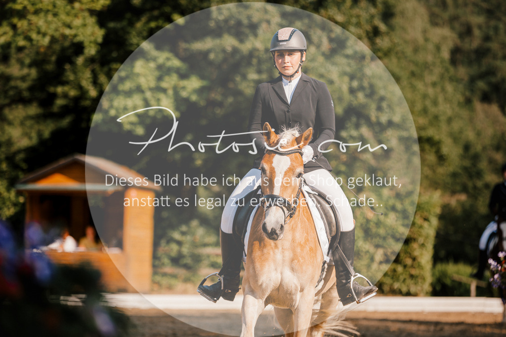 3I6A8677 | Stimmungsvolle Portraits und Reitsportfotografie im Ruhrgebiet und im Münsterland.

Pferdefotografie, Hundefotografie, Tierfotografie, Reportagen, Portraits von Tier und Mensch, Turnierfotografie in Bochum, Recklinghausen, Marl, Haltern am See, Dülmen.. - Realisiert mit Pictrs.com
