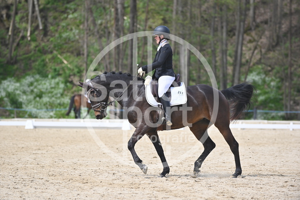 DSC_3095 | sattelsport - Realisiert mit Pictrs.com