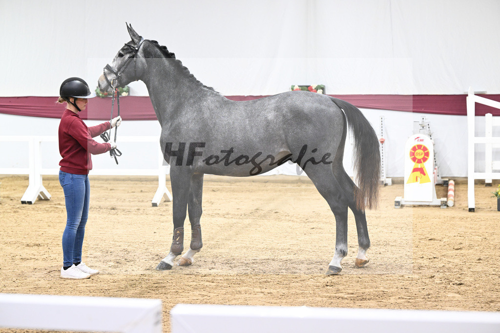 Kat-Nr. 97 Diamant De Semilly - Untouchable_Marian Mueller u Dr. Brigitte Seemann_47253156 | hf-fotografie - Realisiert mit Pictrs.com