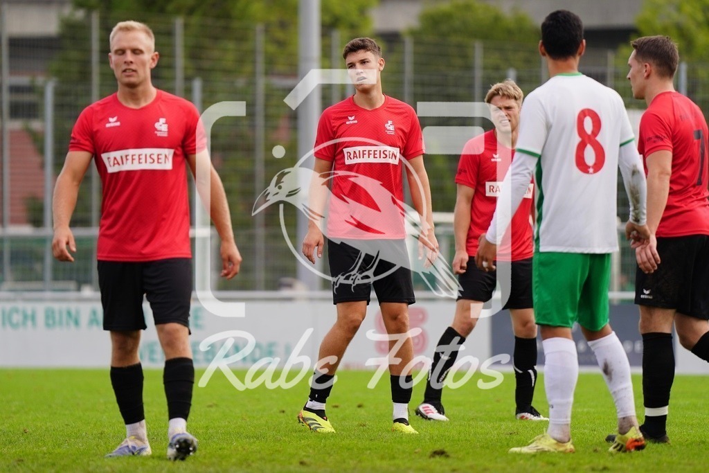 SON04853 | rabefotos