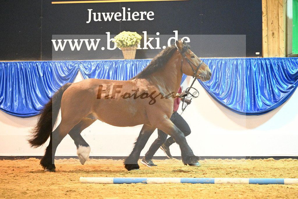 Kat-Nr. 39 Albrecht von Brueck_Bruecker Agrar u Landschafts GbR_53221219 | hf-fotografie - Realizzato con Pictrs.com