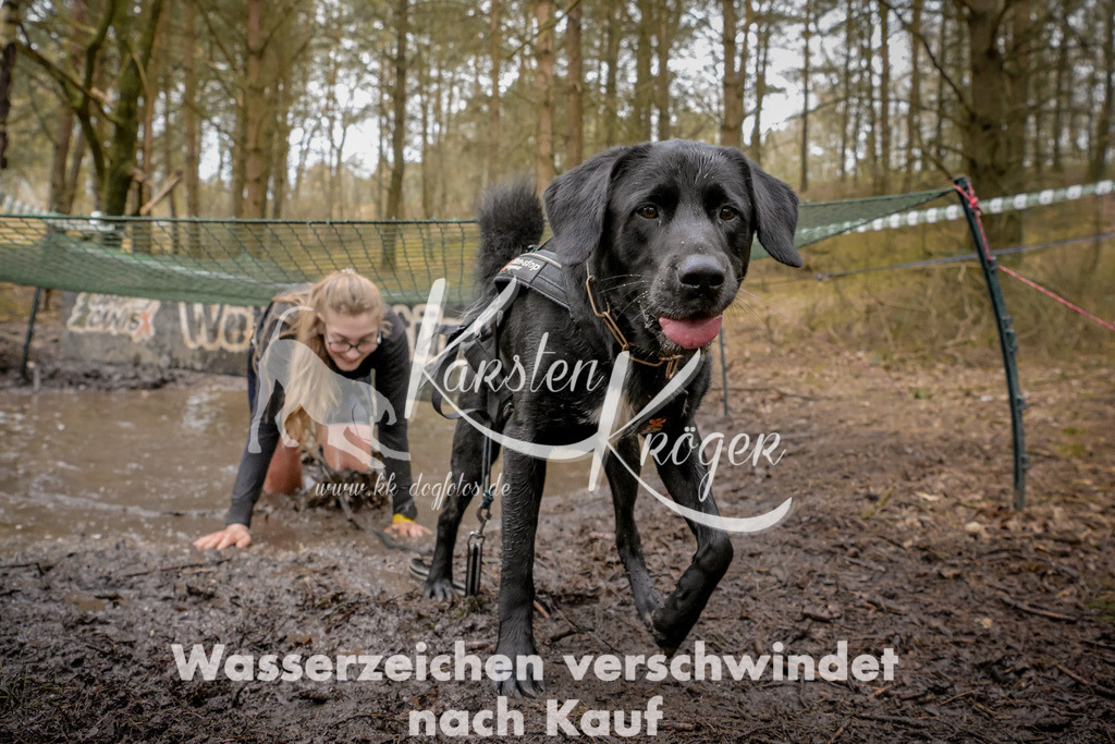 1056_ZZ92758 | kk-dogfotos