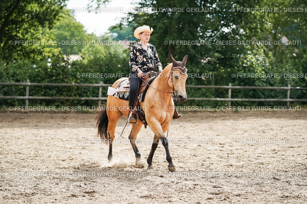 DSC04223 | Pferdegrafie