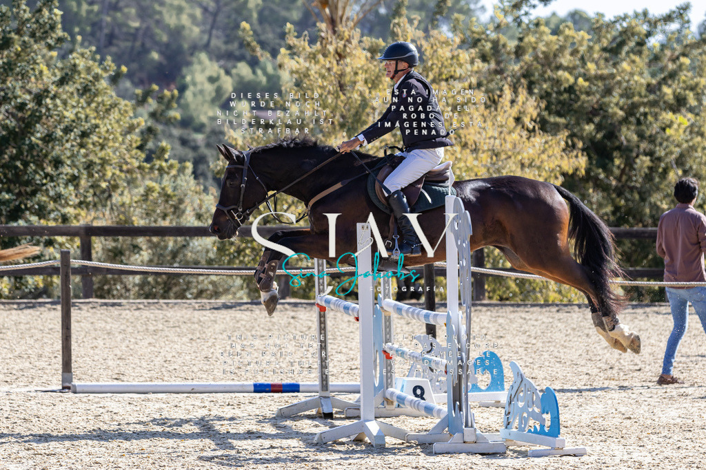 IMG_6369 | s-jay-photography - Realisiert mit Pictrs.com