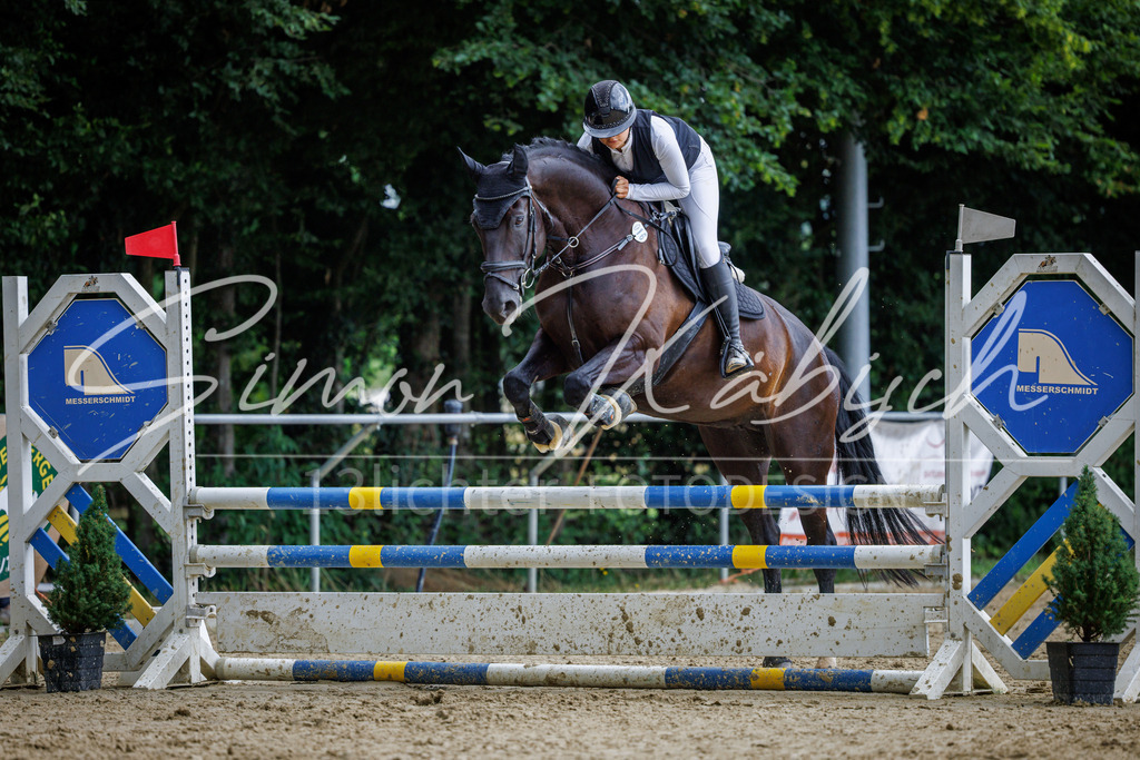 20260705-_3LI5138 | Tierfotografie Pferde, Hunde, Katzen, Haustiere.
Turnierfotografie Reitturniere, Reiten, Springreiten, Dressur in Hanau, dem Main-Kinzig-Kreis und dem Rhein-Main- Gebiet um Frankfurt