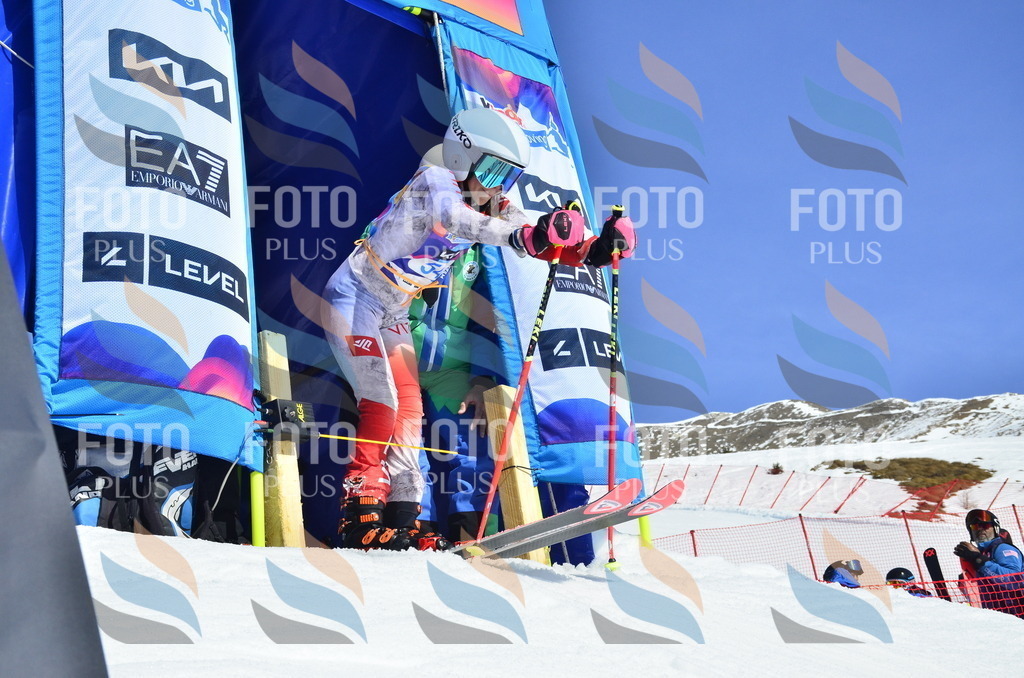 _ELE0164 | holidayphoto