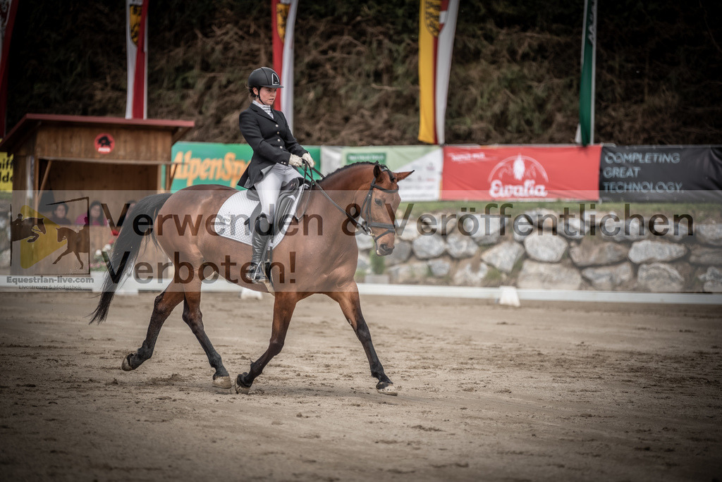 DSC_2403 | equestrian-live-com