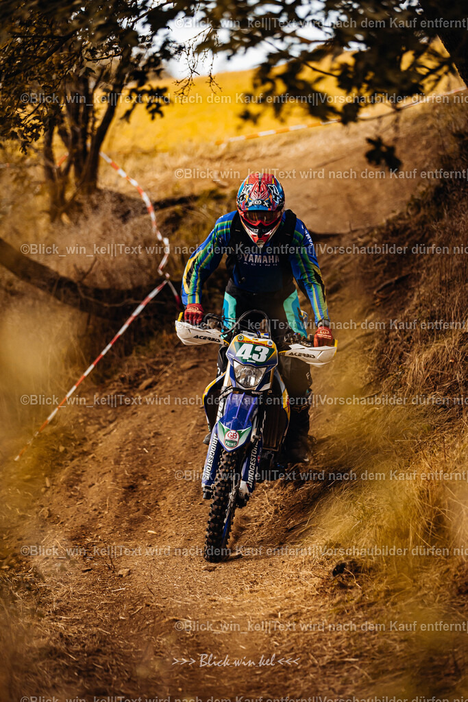 E68A2979 | blick_win_kel