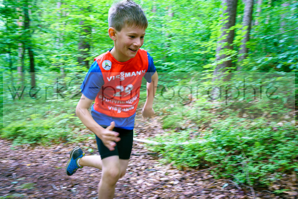 Rolf-Schumann-Gedächtnislauf | Frankenhain, 30.08.2025