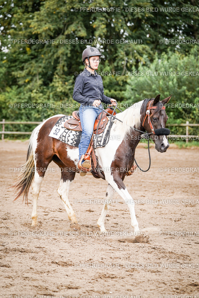 DSC07832 | Pferdegrafie