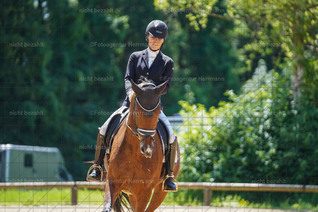 20240705-FAH03484 | Turnierbilder von Grafing, Reitsportbilder, Turnierfotos, Turnierfotografen Bayern, Pferdefotograf, Fotoagentur Herrmann