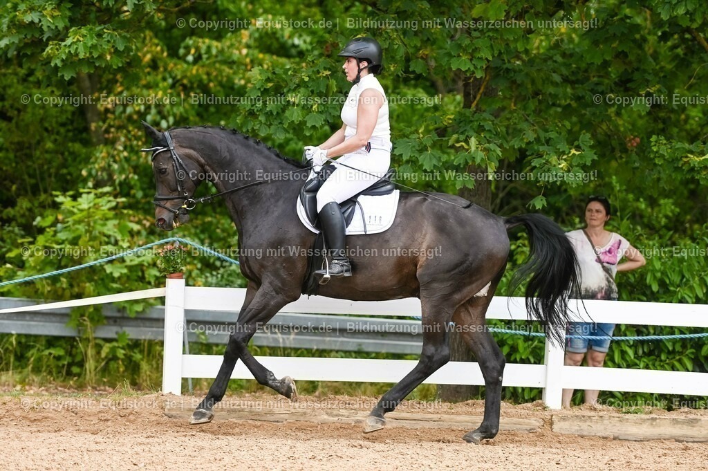 20230715_05_Dressurprüfung Kl.A++_0167 | equistock