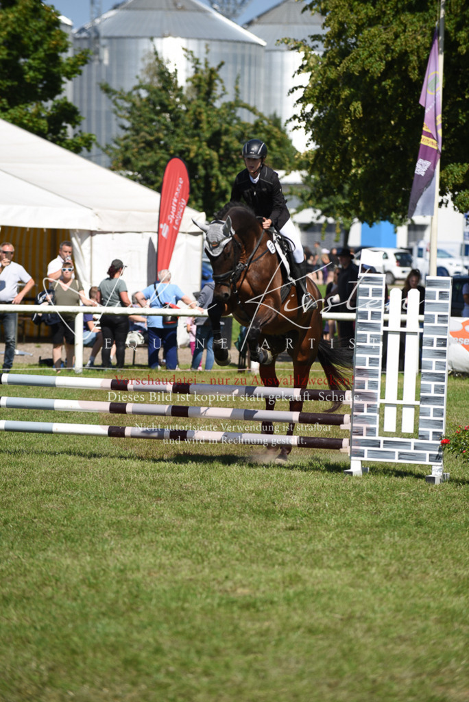 DSC_9443 | Pferde- und Turnierfotografie in Westsachsen. Pferdeportraits, Auftragszeichnungen und intuitive Kunst.