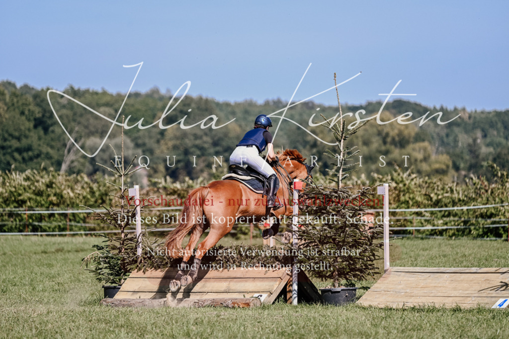 DSC_3065 | Pferde- und Turnierfotografie in Westsachsen. Pferdeportraits, Auftragszeichnungen und intuitive Kunst.