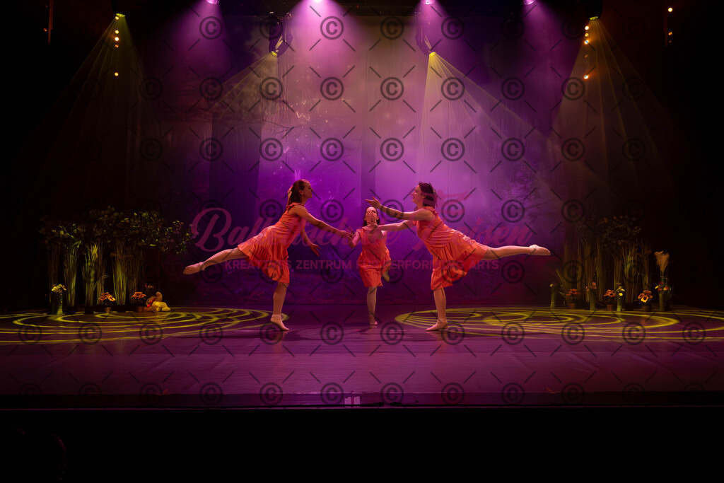 Ballettaufführung-14 | Bildershop Lem'n Entertainment - Realisiert mit Pictrs.com