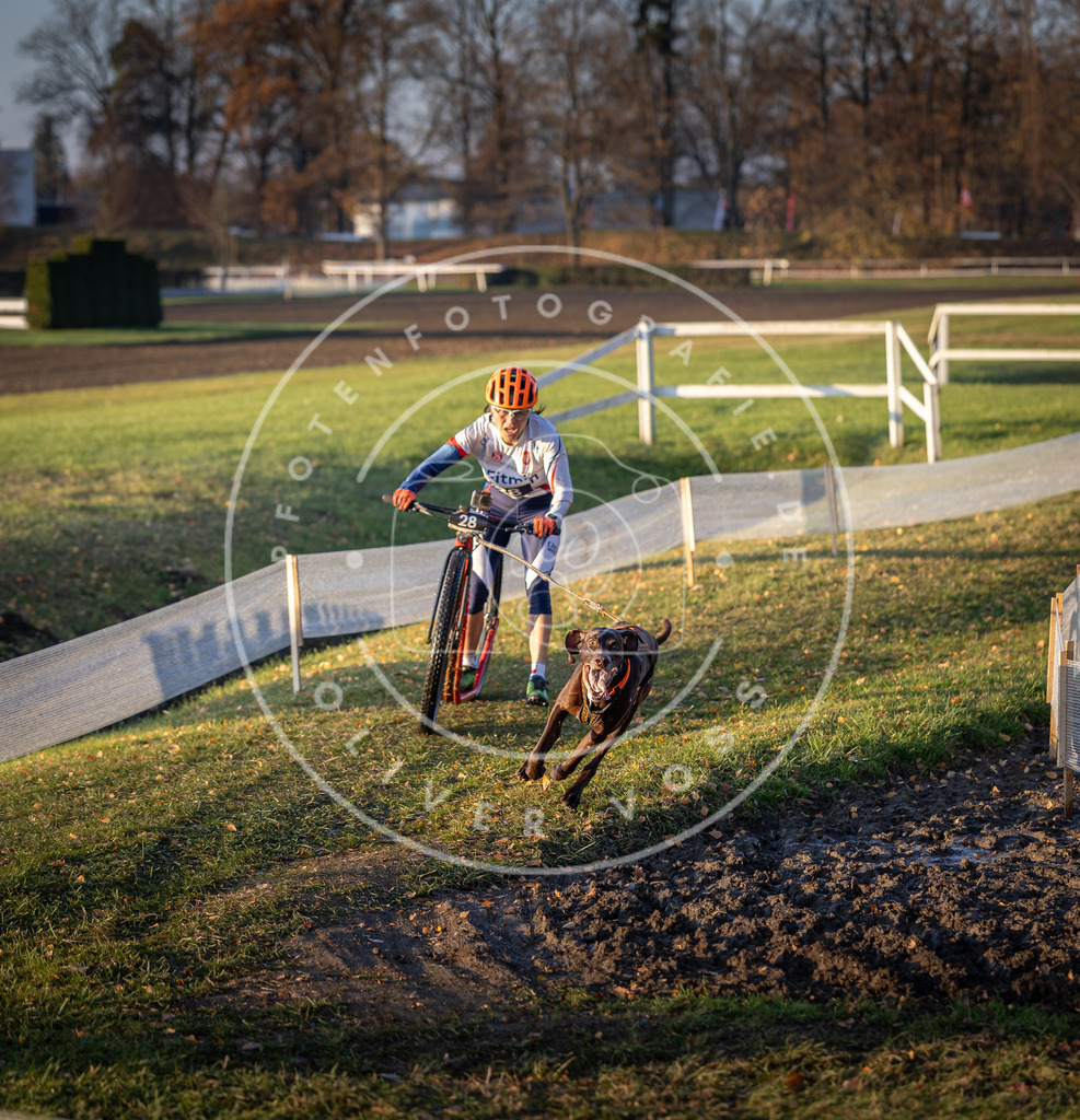 CaniXpix_DV3A9909 | Hundefotografie, Tierfotograf, Pfotenfotografie, Fotoshooting Hund, Hunde Portrait, Hundesport, Hundeportraits, Heideshooting, Hunde, Sportfotograf, Hundefotograf, Turnierhundsport, THS,  - Realisiert mit Pictrs.com