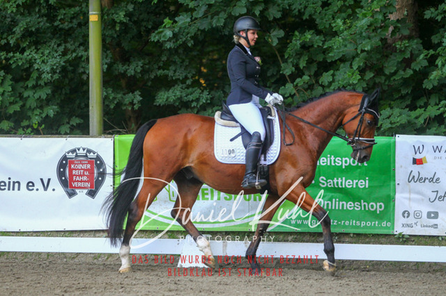 DKP43191 | Turniersportfotografie; Pferdefotografie; Dressurfotografie