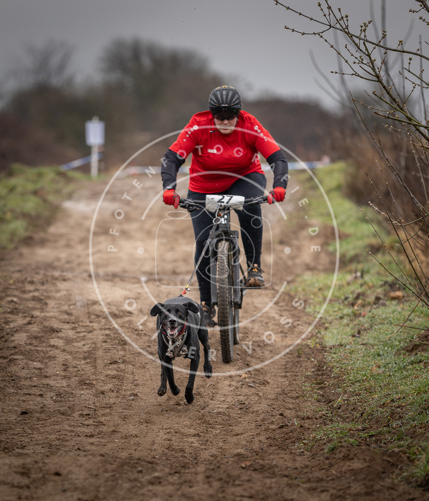 DV3A9021 | Hundefotografie, Tierfotograf, Pfotenfotografie, Fotoshooting Hund, Hunde Portrait, Hundesport, Hundeportraits, Heideshooting, Hunde, Sportfotograf, Hundefotograf, Turnierhundsport, THS,  - Realisiert mit Pictrs.com