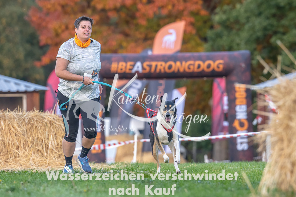 0902_ZZ92162-Bearbeitet | kk-dogfotos