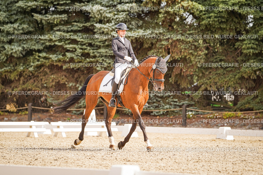 DSC01457 | Pferdegrafie