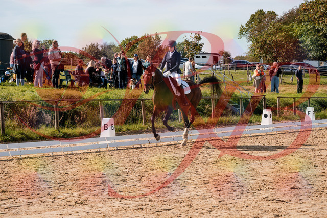 2026_10_03_Siefer-Hof_125624_Z63_63648564 | Professionelle Reitsport-, Turnier- und Eventfotografie von Robert Broda. Galerien mit ausgewählten und bearbeiteten Bildern direkt online ansehen und bestellen.