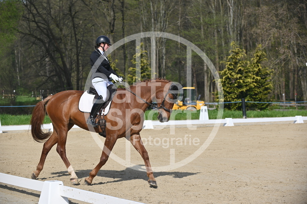 DSC_0464 | sattelsport - Realisiert mit Pictrs.com