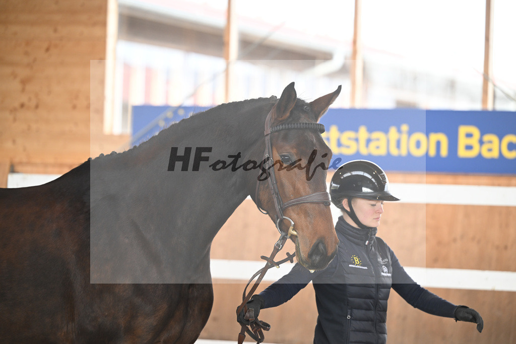 Kat-Nr. 20 Lucia M v. Conthargos_Meindl_14260765 | hf-fotografie - Realisiert mit Pictrs.com