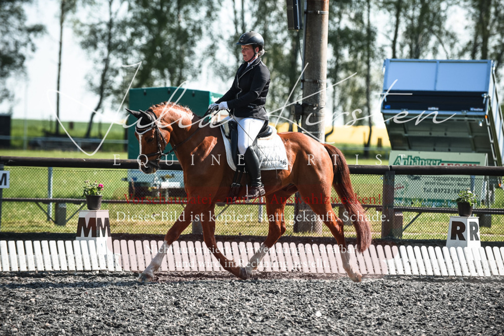 DSC_8739 | Pferde- und Turnierfotografie in Westsachsen. Pferdeportraits, Auftragszeichnungen und intuitive Kunst.