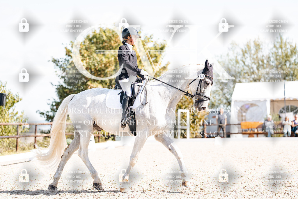 CK902935 | Turnierfotografie Pferdefotografie Trier Rheinland-Pfalz Pferdesport Reitsport Tierfotografie Sportfotografie Pferdevideo Pferdevideografie Equestrianvideography equestrianphotography  - Realisiert mit Pictrs.com