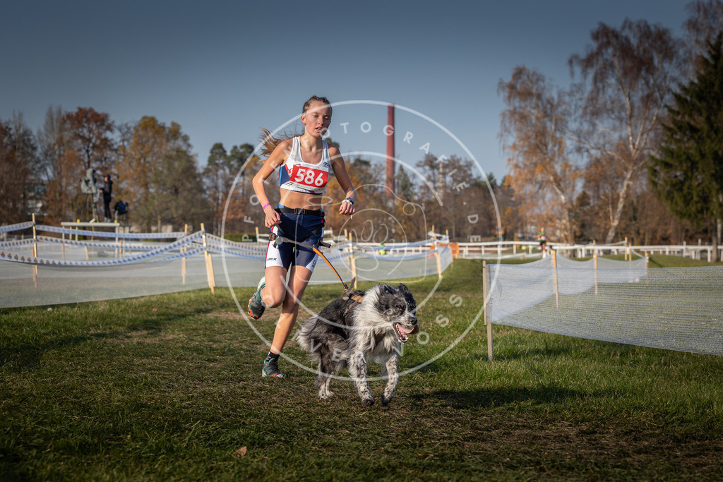 CaniXpix_0L8A9814 | Hundefotografie, Tierfotograf, Pfotenfotografie, Fotoshooting Hund, Hunde Portrait, Hundesport, Hundeportraits, Heideshooting, Hunde, Sportfotograf, Hundefotograf, Turnierhundsport, THS,  - Realisiert mit Pictrs.com