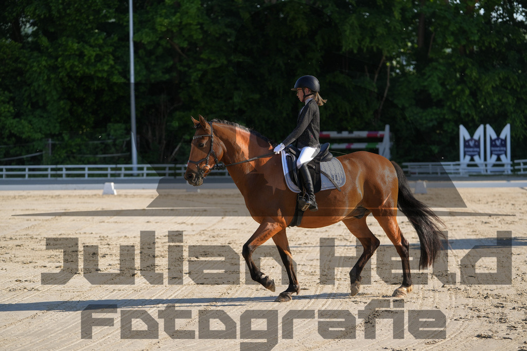 DSC02700 | Julian Held Fotografie - Realisiert mit Pictrs.com