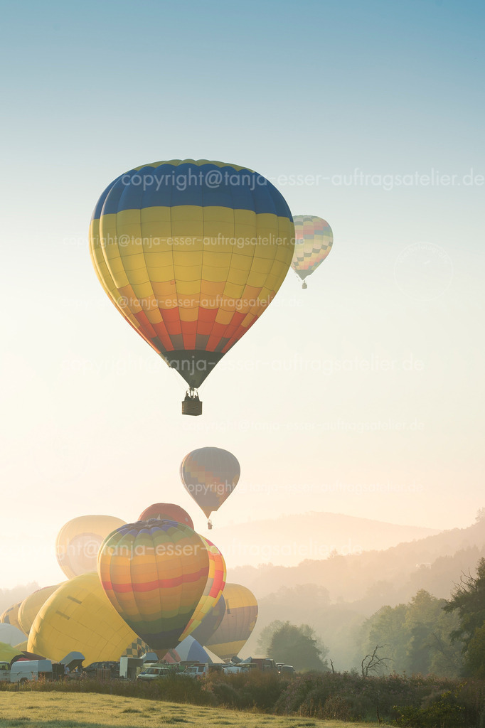 Das schönste Bild der bunten Heißluftballons im Frühnebel anlässlich der WIM | Ein Heißluftballon startet seinen Flug. Es ist früher Morgen, der Nebel liegt über der Natur. Mehrere Ballons stehen zum Start bereit während der Warsteiner Internationalen Montgolfiade. 