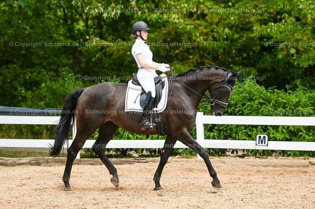 20230715_05_Dressurprüfung Kl.A++_0315 | equistock
