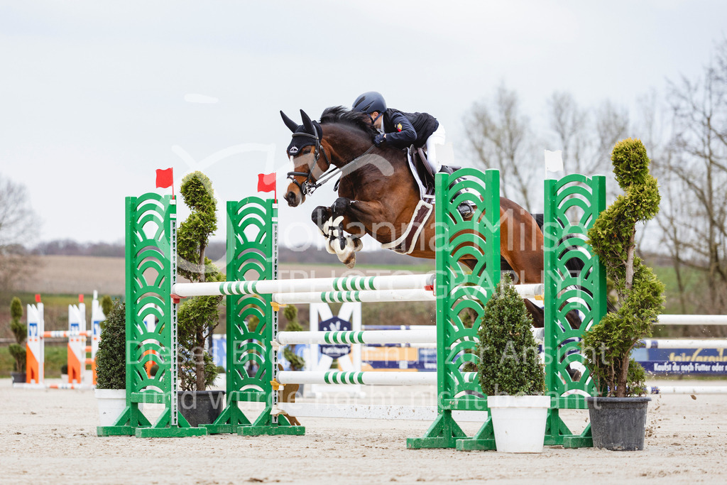 260404_Fruehlingsfest_M-Spr-602 | Deine schönsten Turniermomente als professionelle Fotos! Entdecke hochwertige Pferdesport-Fotografie im Online-Shop. Jetzt Fotos finden & bestellen!