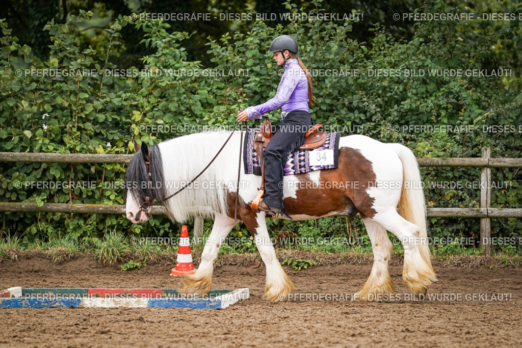 DSC03414 | Pferdegrafie