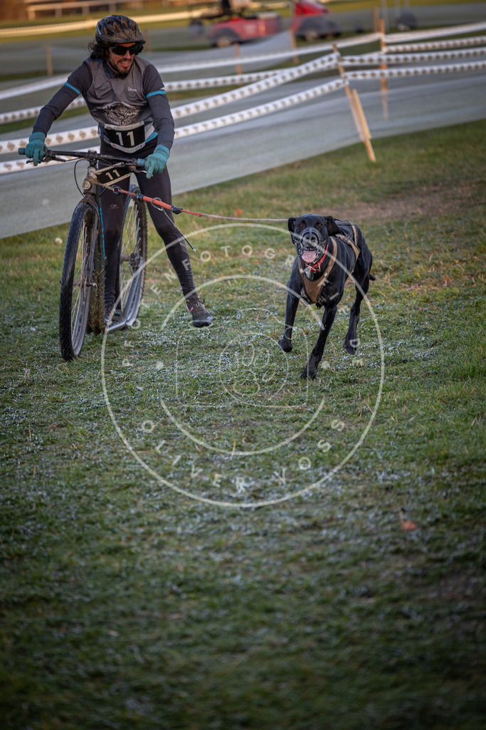 CaniXpix_0L8A1445 | Hundefotografie, Tierfotograf, Pfotenfotografie, Fotoshooting Hund, Hunde Portrait, Hundesport, Hundeportraits, Heideshooting, Hunde, Sportfotograf, Hundefotograf, Turnierhundsport, THS,  - Realisiert mit Pictrs.com
