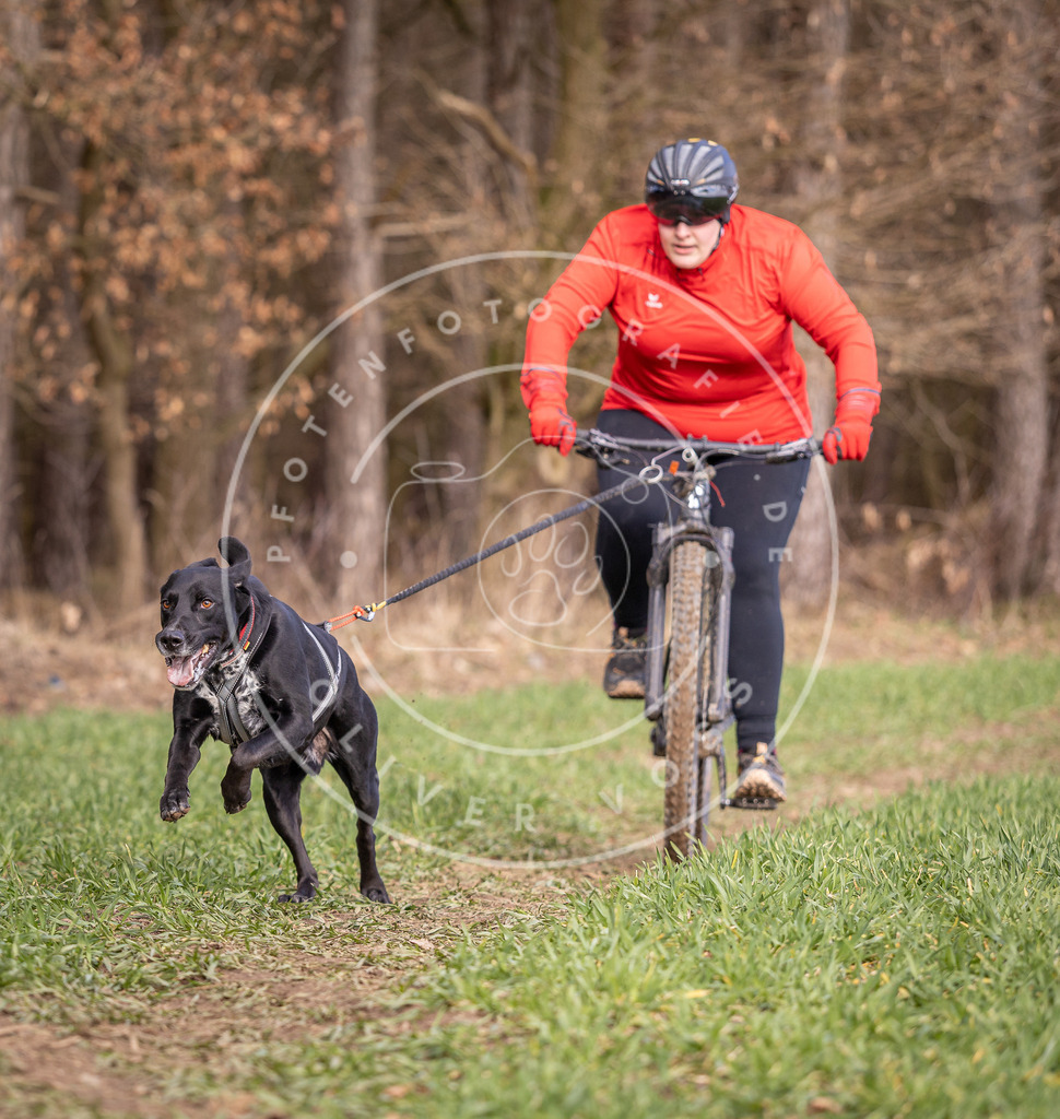 DV3A6158 | Hundefotografie, Tierfotograf, Pfotenfotografie, Fotoshooting Hund, Hunde Portrait, Hundesport, Hundeportraits, Heideshooting, Hunde, Sportfotograf, Hundefotograf, Turnierhundsport, THS,  - Realisiert mit Pictrs.com