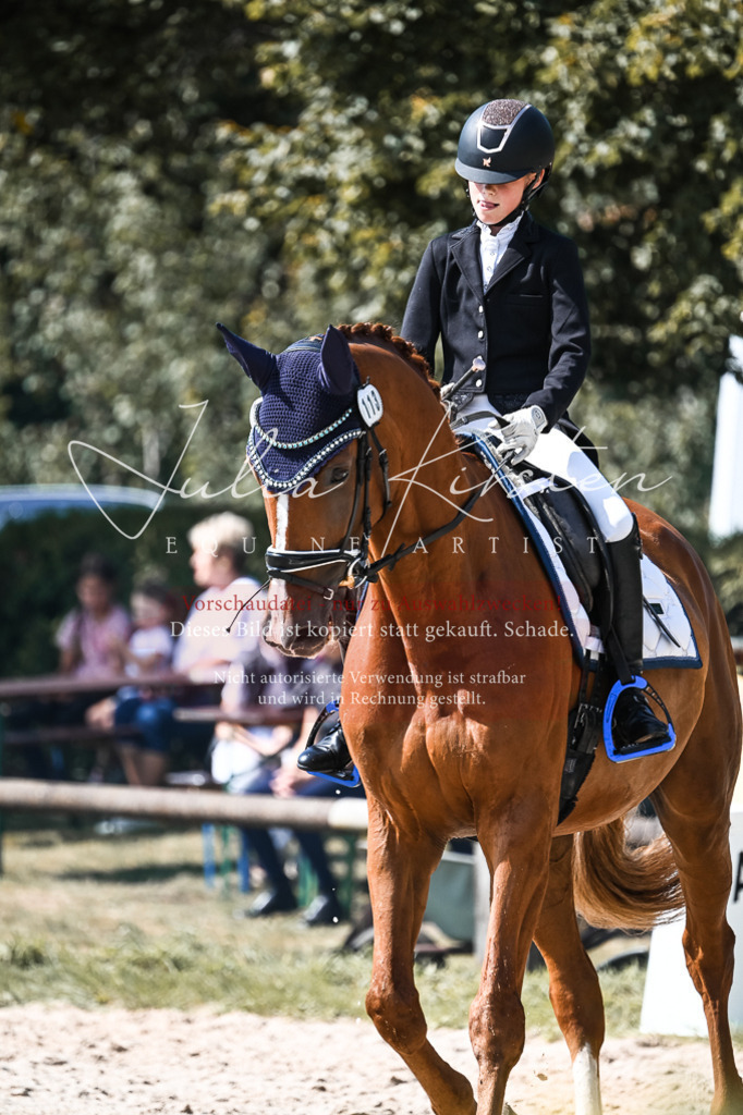 DSC_5074 | Pferde- und Turnierfotografie in Westsachsen. Pferdeportraits, Auftragszeichnungen und intuitive Kunst.