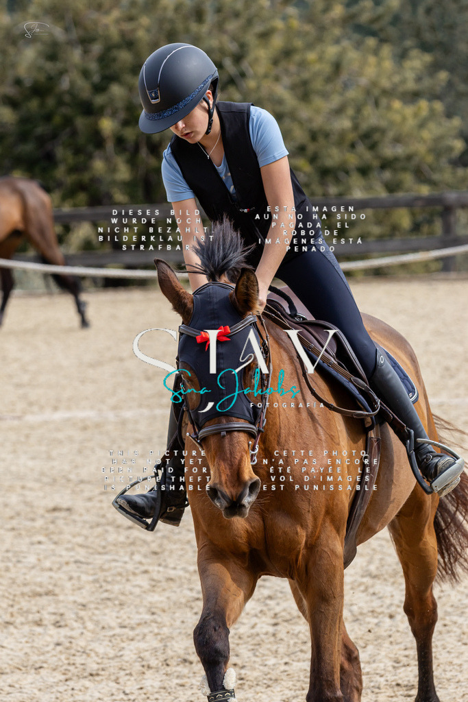 IMG_3551 | s-jay-photography - Realisiert mit Pictrs.com