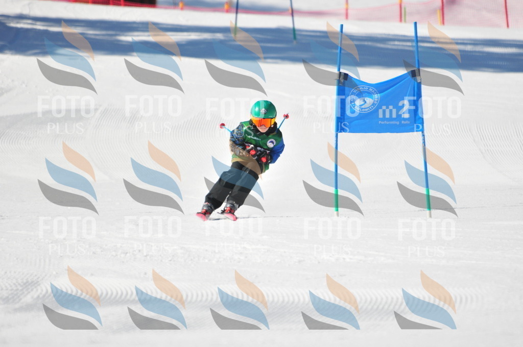 C2125 | holidayphoto