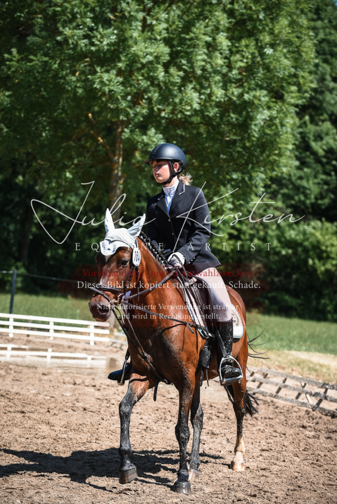 DSC_3056 | Pferde- und Turnierfotografie in Westsachsen. Pferdeportraits, Auftragszeichnungen und intuitive Kunst.