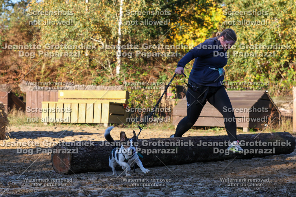 Dog Paparazzi - Strongdog 10-25-933 | Dog Paparazzi Jeanette Grottendiek Fotografie & Videografie - Realisiert mit Pictrs.com
