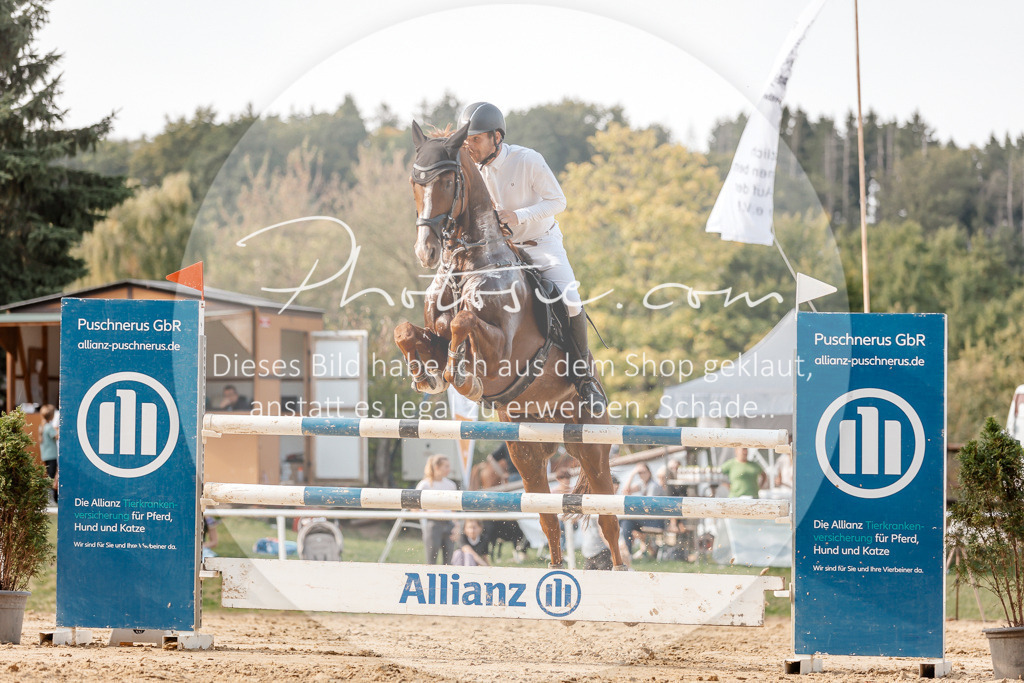 3I6A5145 | Stimmungsvolle Portraits und Reitsportfotografie im Ruhrgebiet und im Münsterland.

Pferdefotografie, Hundefotografie, Tierfotografie, Reportagen, Portraits von Tier und Mensch, Turnierfotografie in Bochum, Recklinghausen, Marl, Haltern am See, Dülmen.. - Realisiert mit Pictrs.com