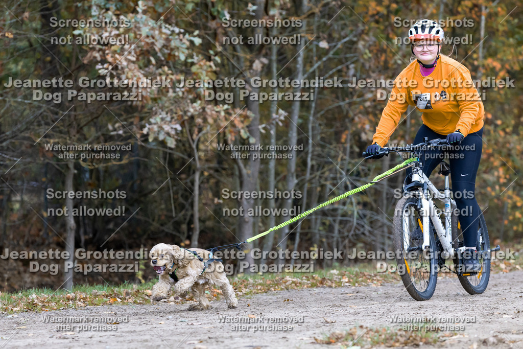 Dog Paparazzi - SD CaniX Championship 2025-599 | Dog Paparazzi Jeanette Grottendiek Fotografie & Videografie - Realisiert mit Pictrs.com