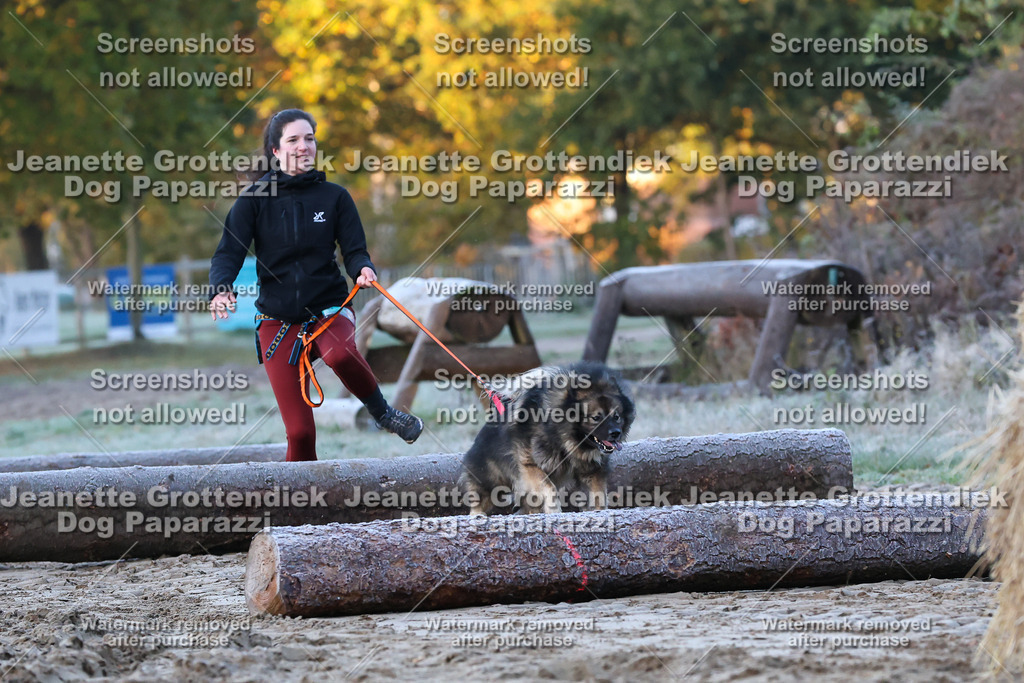 Dog Paparazzi - Strongdog 10-25-187 | Dog Paparazzi Jeanette Grottendiek Fotografie & Videografie - Realisiert mit Pictrs.com