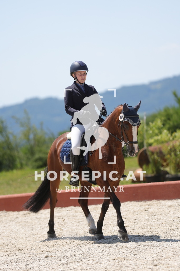 0P6A6336 | Willkommen bei Brunnmayr - Design & Fotografie – Ihrem Spezialisten für Reitturniere und Pferdeveranstaltungen in Oberösterreich, Salzburg und Bayern! Seit über 17 Jahren sind wir leidenschaftlich dabei.